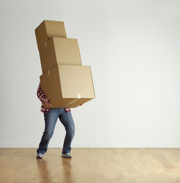 person holding boxes
